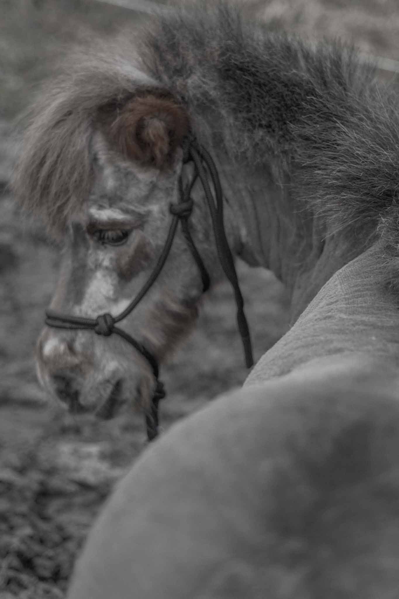 Portrait – warmes Licht