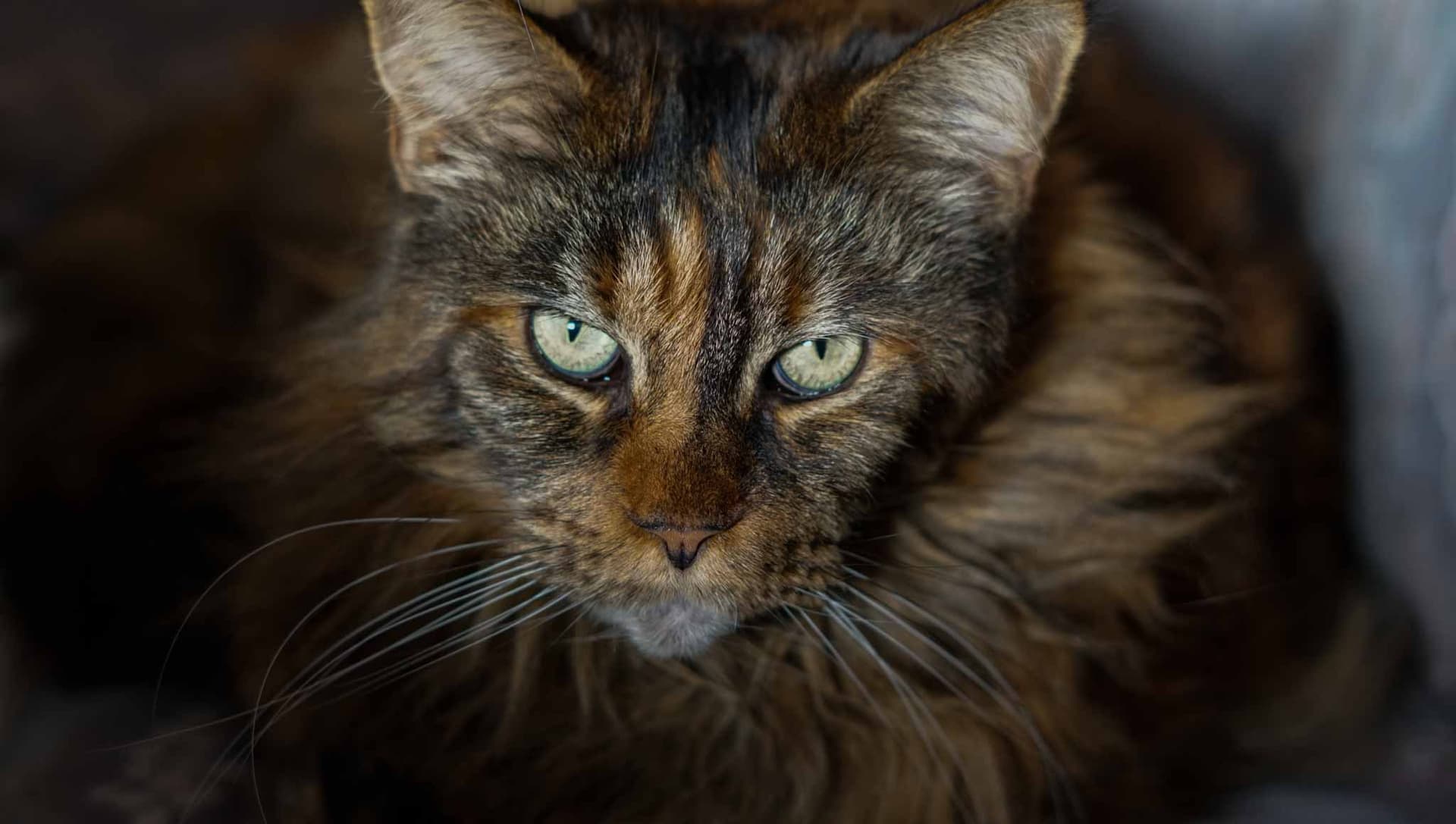 Portrait – Leichtigkeit