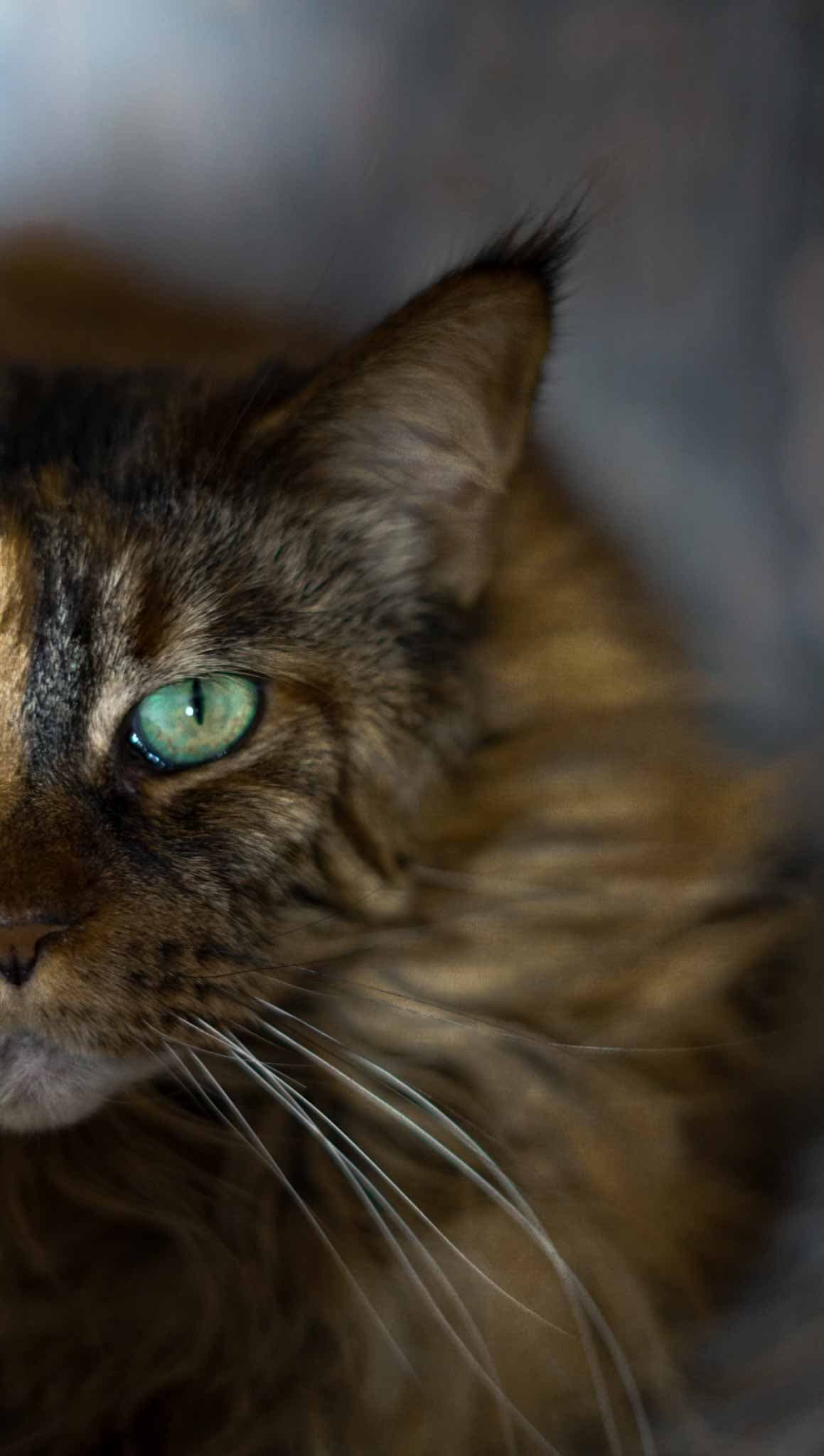 Portrait – Entspannung